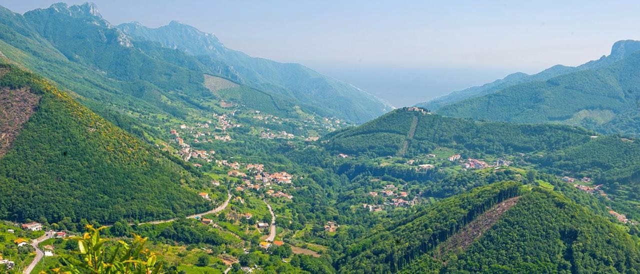 Casa Vacanza DaRó Villa Tramonti Esterno foto