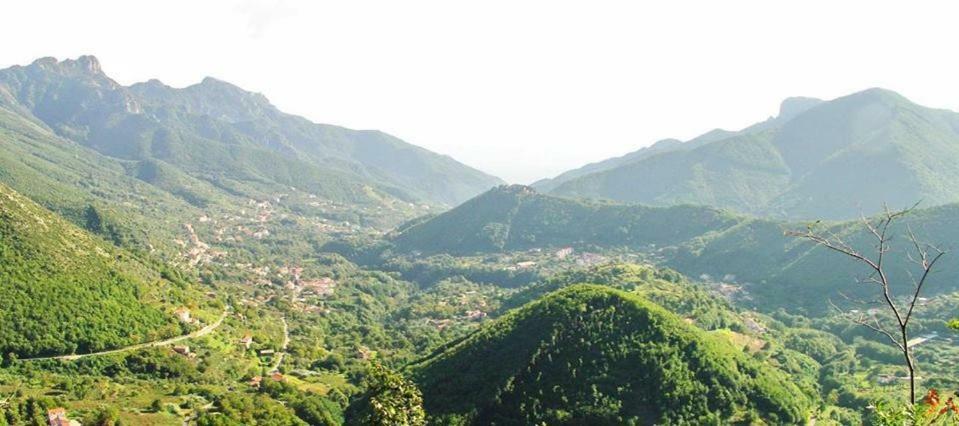 Casa Vacanza DaRó Villa Tramonti Esterno foto